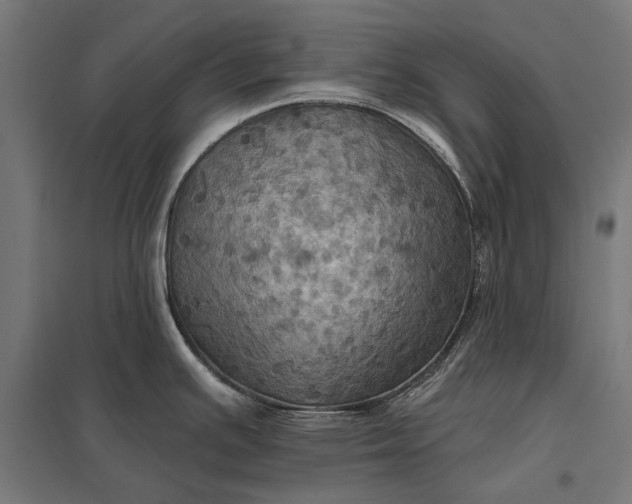 X0000097831391200803281150