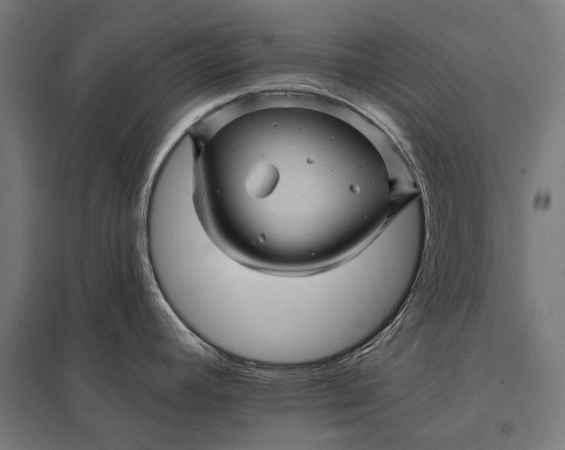 X0000097831392200803281150