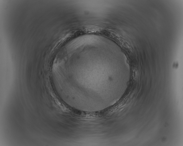 X0000097831393200803281149