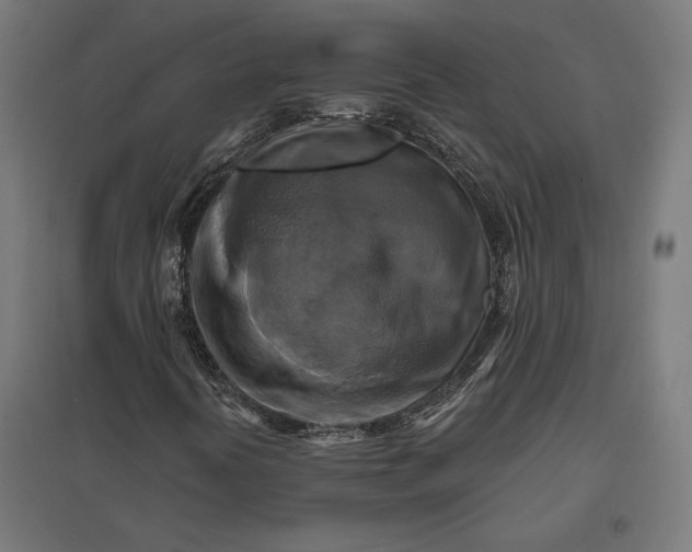 X0000097831394200803281149