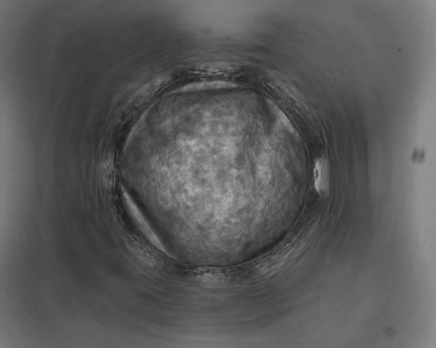 X0000097831395200803281149