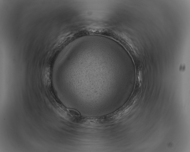 X0000097831396200803281149