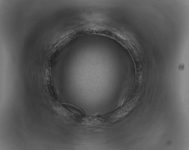 X0000097831397200803281149