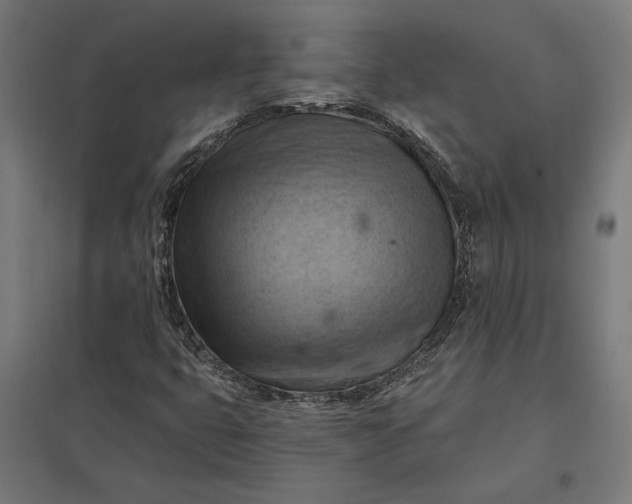 X0000097831399200803281149