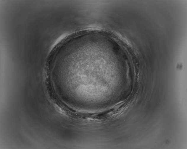 X0000097831400200803281149