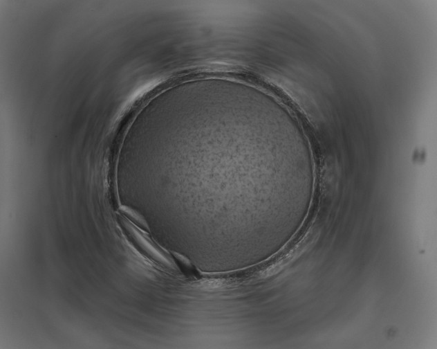 X0000097831402200803281149