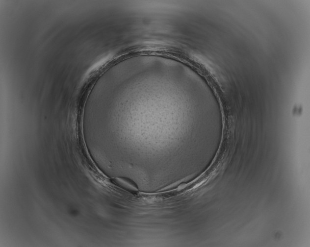 X0000097831403200803281150