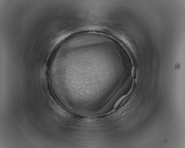 X0000097831404200803281150