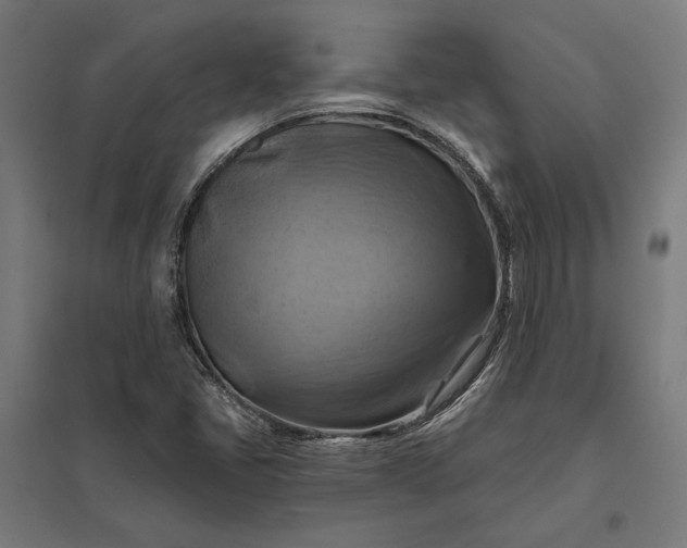 X0000097831405200803281150