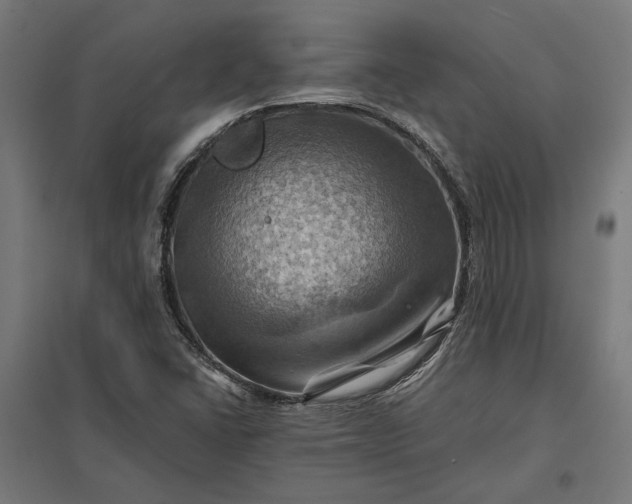 X0000097831406200803281150