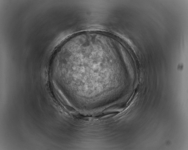 X0000097831407200803281150