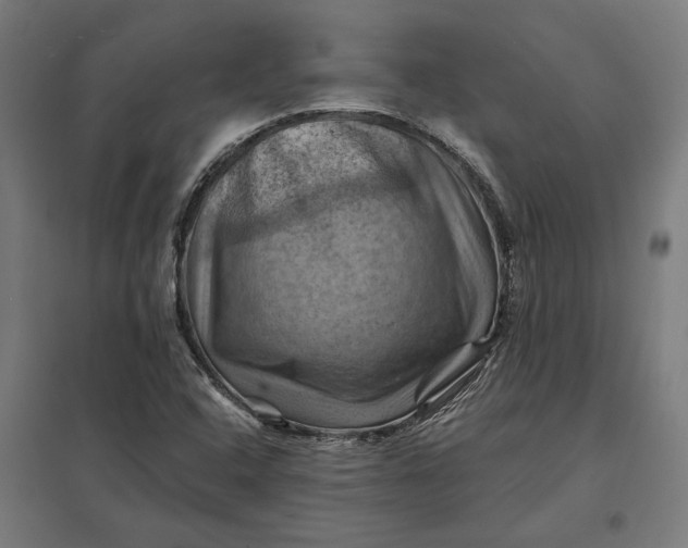 X0000097831408200803281150