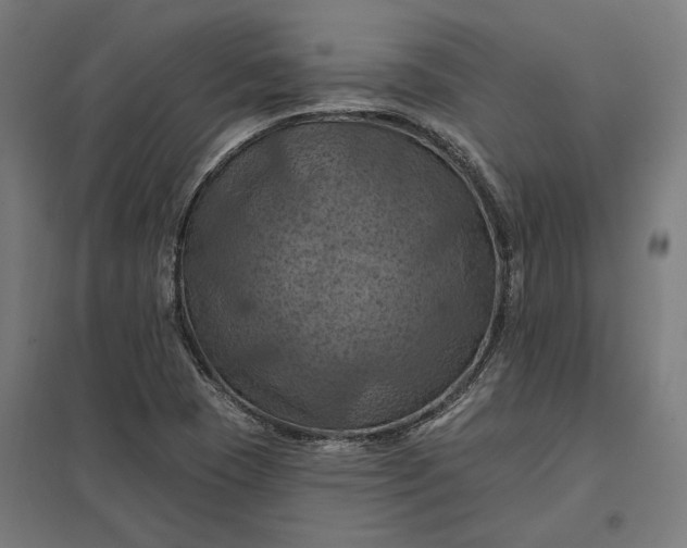 X0000097831409200803281150