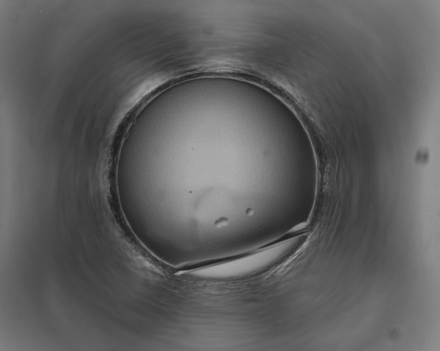 X0000097831410200803281150