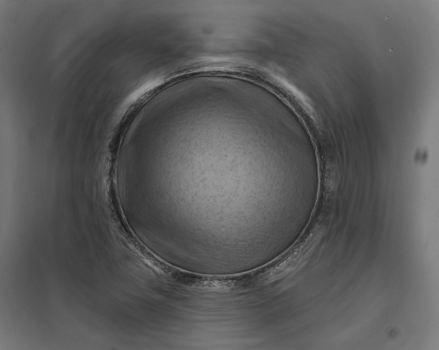 X0000097831411200803281150