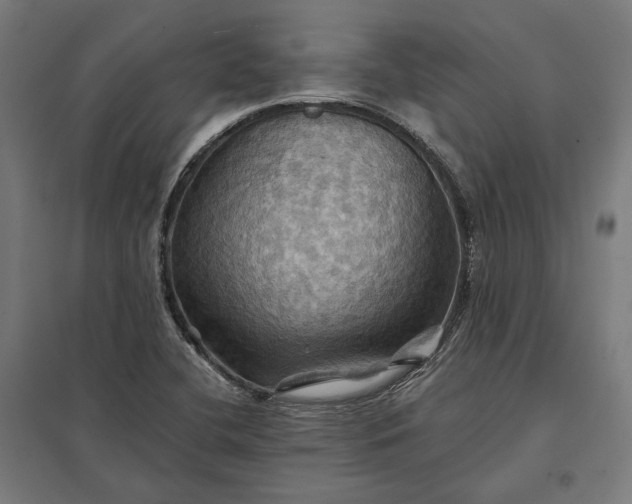 X0000097831412200803281150