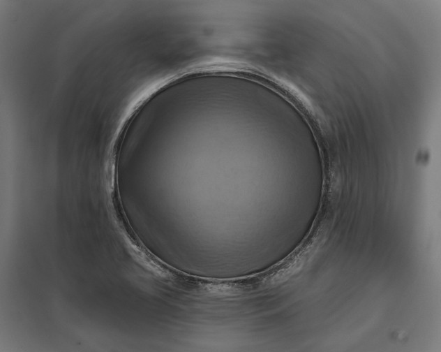 X0000097831413200803281150