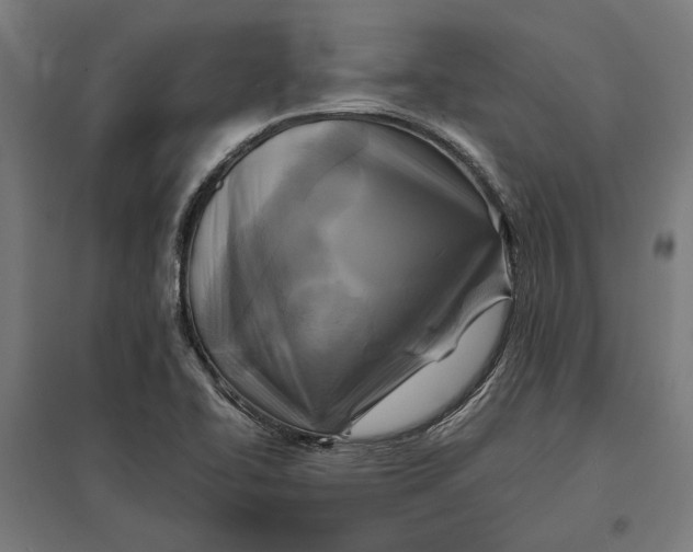 X0000097831414200803281150