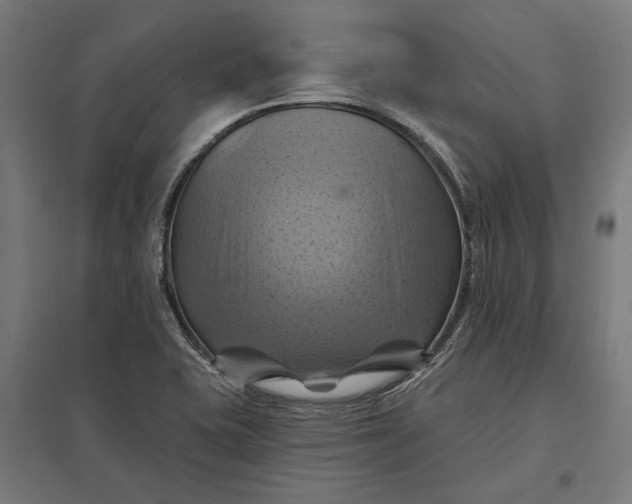 X0000097831415200803281150