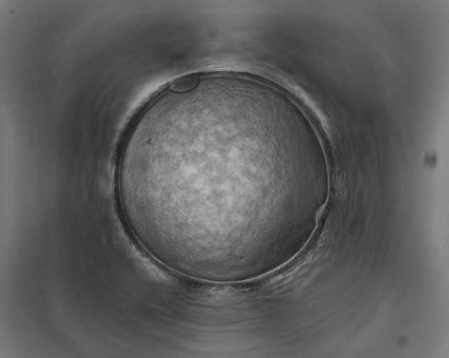 X0000097831416200803281150