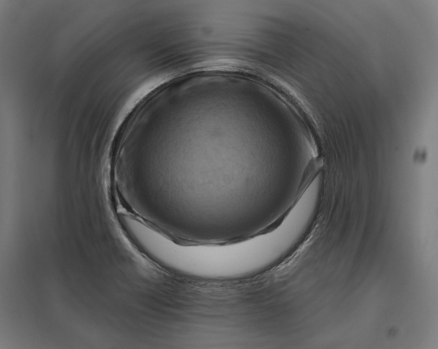 X0000097831418200803281150