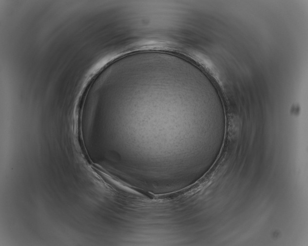 X0000097831419200803281150