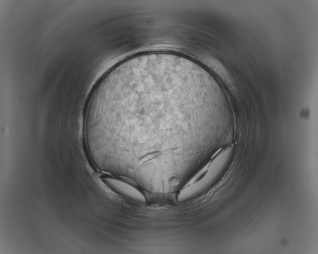 X0000097831420200803281150