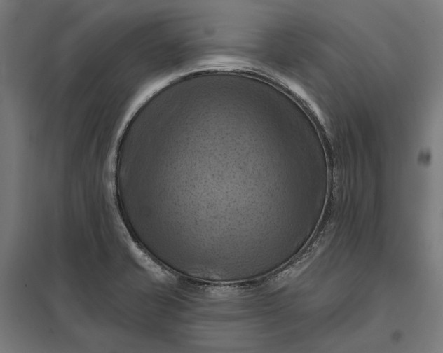 X0000097831421200803281150