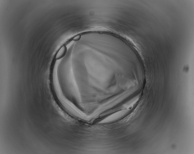 X0000097831422200803281150