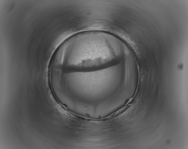 X0000097831423200803281150