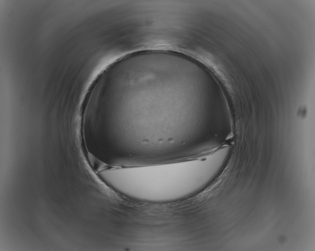 X0000097831424200803281150