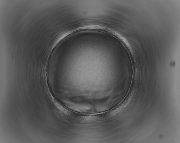 X0000097831425200803281150