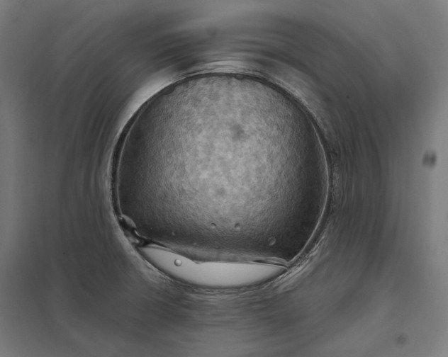 X0000097831426200803281150