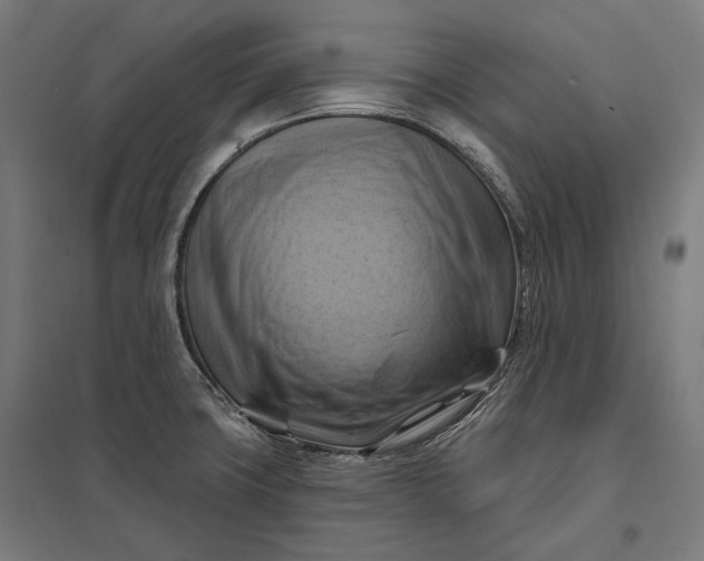 X0000097831427200803281150