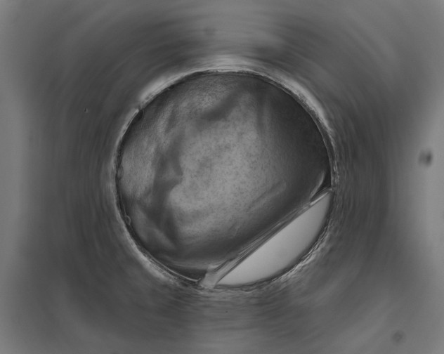 X0000097831429200803281150