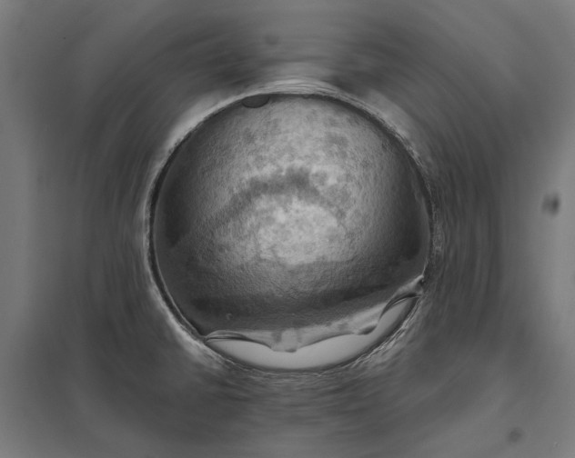 X0000097831430200803281150