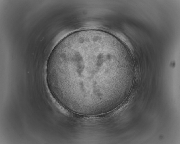 X0000097831431200803281150