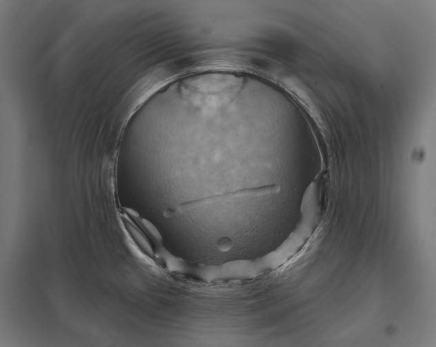 X0000097831433200803281150