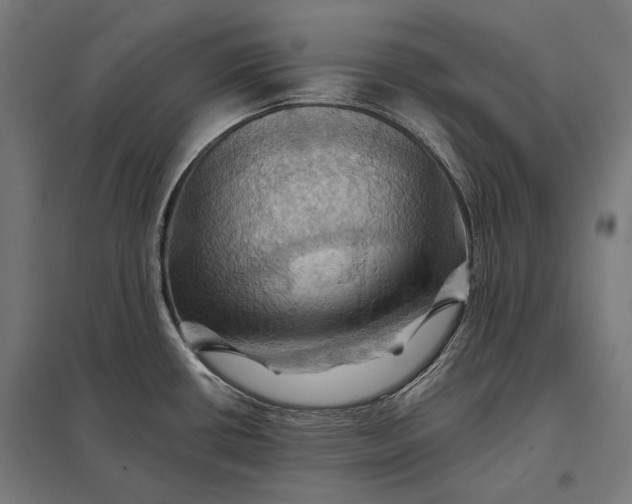 X0000097831434200803281150