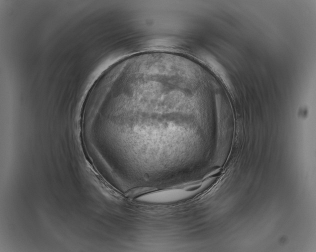 X0000097831435200803281150