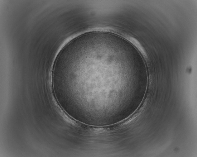 X0000097831436200803281150