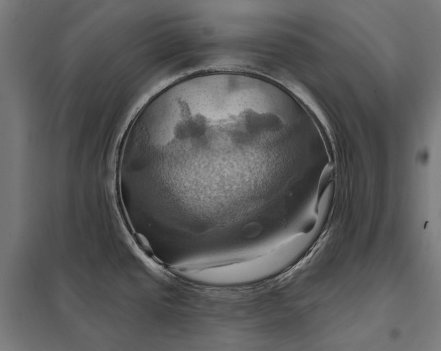 X0000097831437200803281150