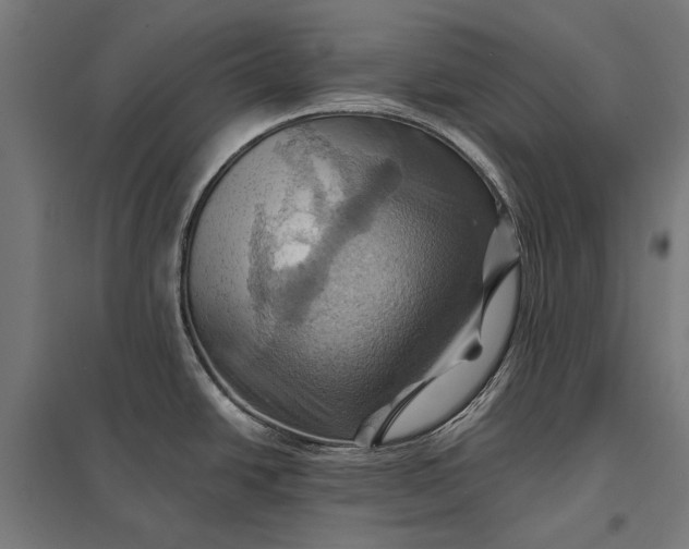 X0000097831438200803281150