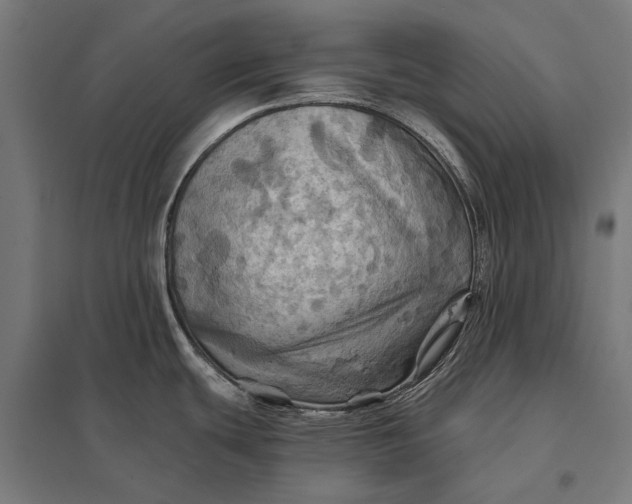 X0000097831439200803281150