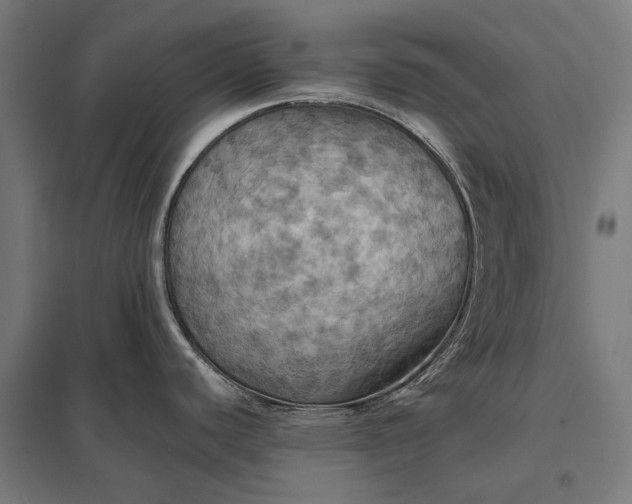 X0000097831440200803281150