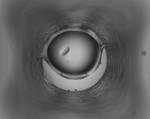 X0000097831441200803281149