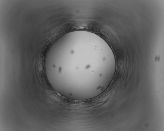 X0000097831442200803281149