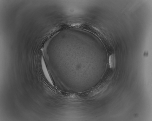 X0000097831443200803281149