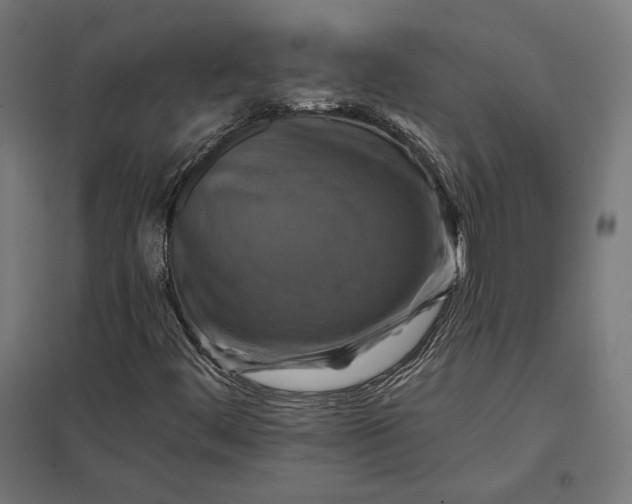 X0000097831444200803281149