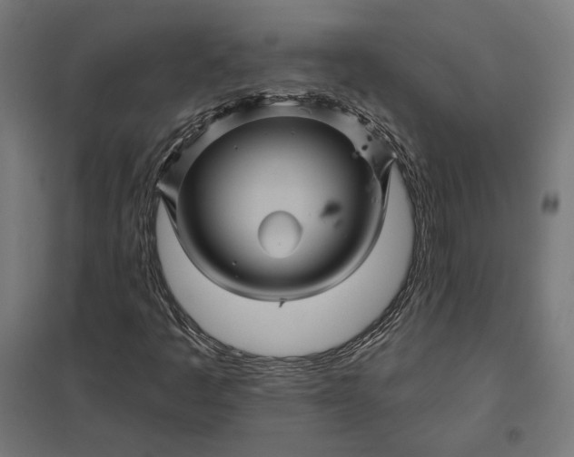 X0000097831445200803281149